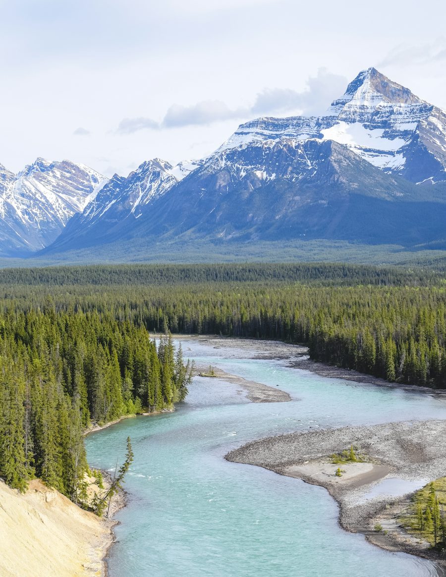 A river winding through green forest below snow peaks